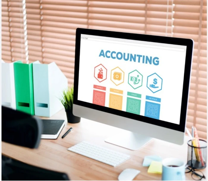 Course - Certificate Course in Professional Accountant